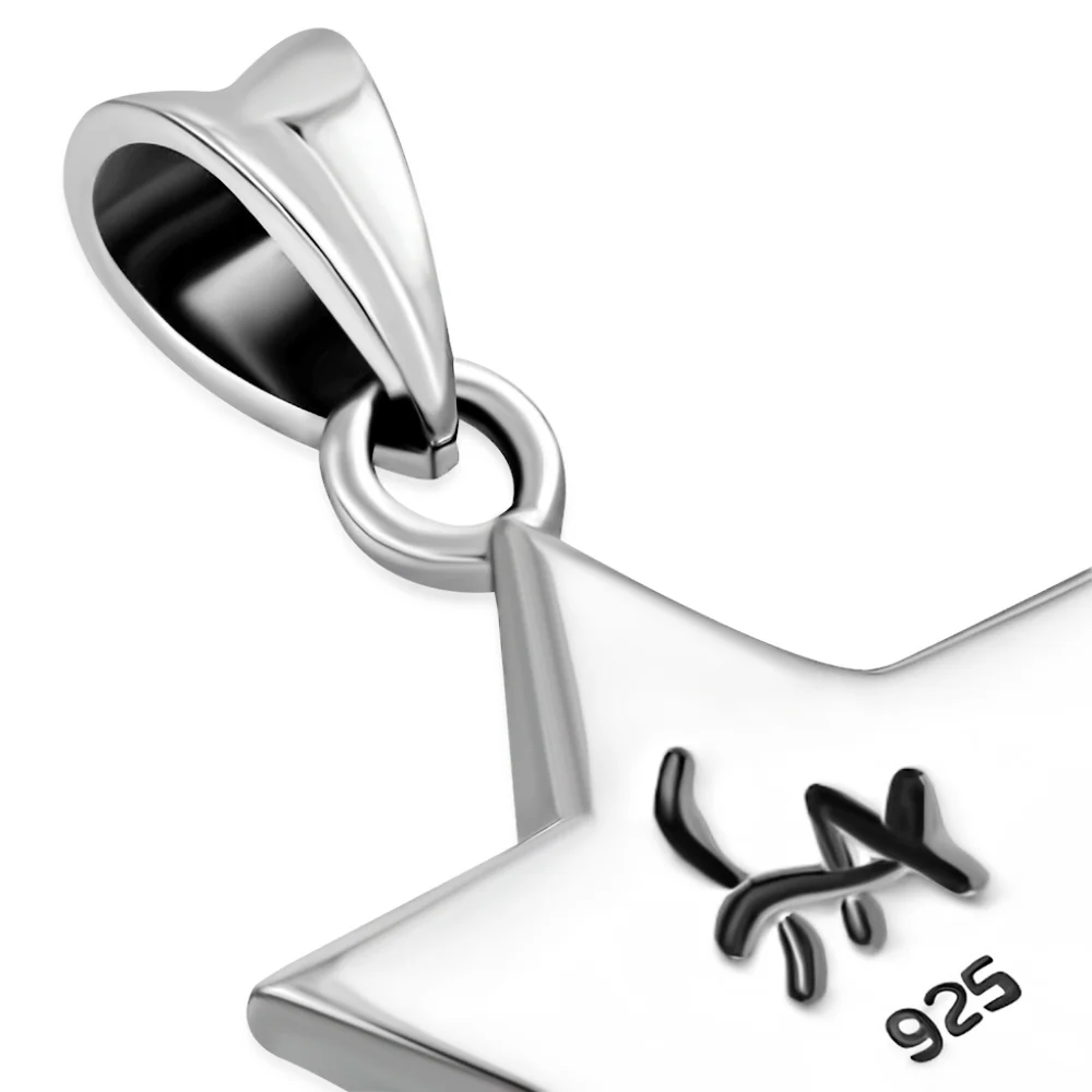 Pendant--Men's/Unisex Silver & Black Onyx set in sterling Star of David